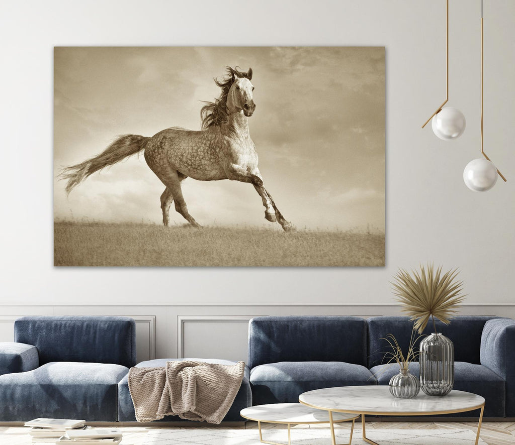 Like the Wind by Lisa Dearing on GIANT ART - multicolor photography; animals