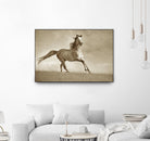 Like the Wind by Lisa Dearing on GIANT ART - multicolor photography; animals