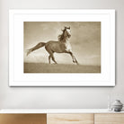 Like the Wind by Lisa Dearing on GIANT ART - multicolor photography; animals