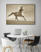 Like the Wind by Lisa Dearing on GIANT ART - multicolor photography; animals