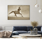 Like the Wind by Lisa Dearing on GIANT ART - multicolor photography; animals