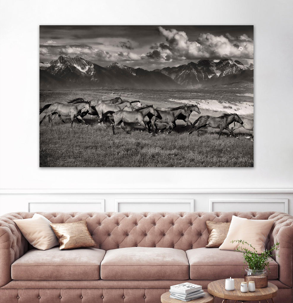 Mountain Range Mavericks by Lisa Dearing on GIANT ART - multicolor photography; animals
