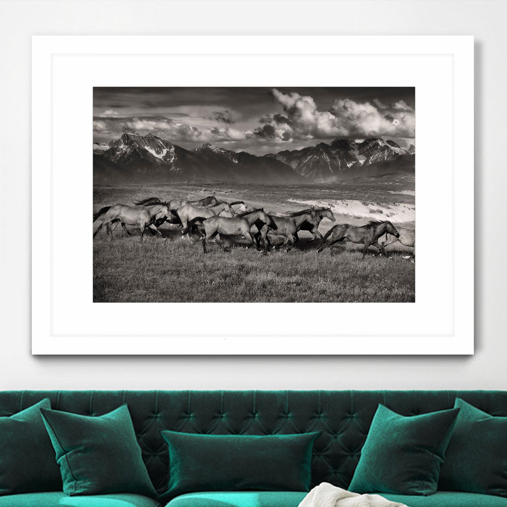 Mountain Range Mavericks by Lisa Dearing on GIANT ART - multicolor photography; animals