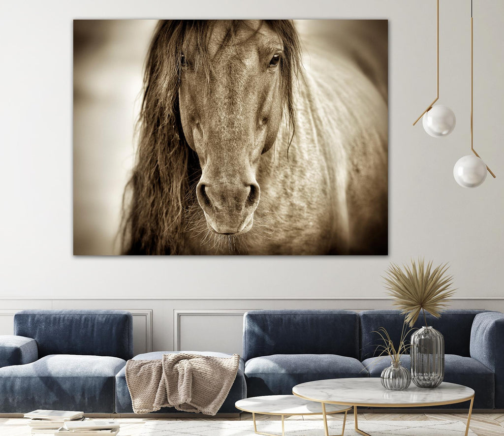 Mustang Sally by Lisa Dearing on GIANT ART - multicolor photography; animals