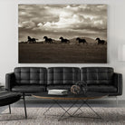 Racing the Clouds by Lisa Dearing on GIANT ART - multicolor photography; animals