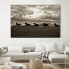 Racing the Clouds by Lisa Dearing on GIANT ART - multicolor photography; animals