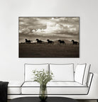 Racing the Clouds by Lisa Dearing on GIANT ART - multicolor photography; animals