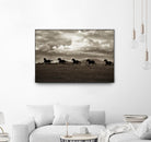 Racing the Clouds by Lisa Dearing on GIANT ART - multicolor photography; animals