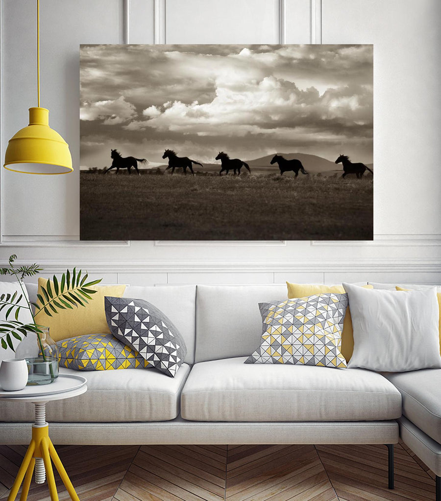 Racing the Clouds by Lisa Dearing on GIANT ART - multicolor photography; animals
