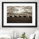 Racing the Clouds by Lisa Dearing on GIANT ART - multicolor photography; animals