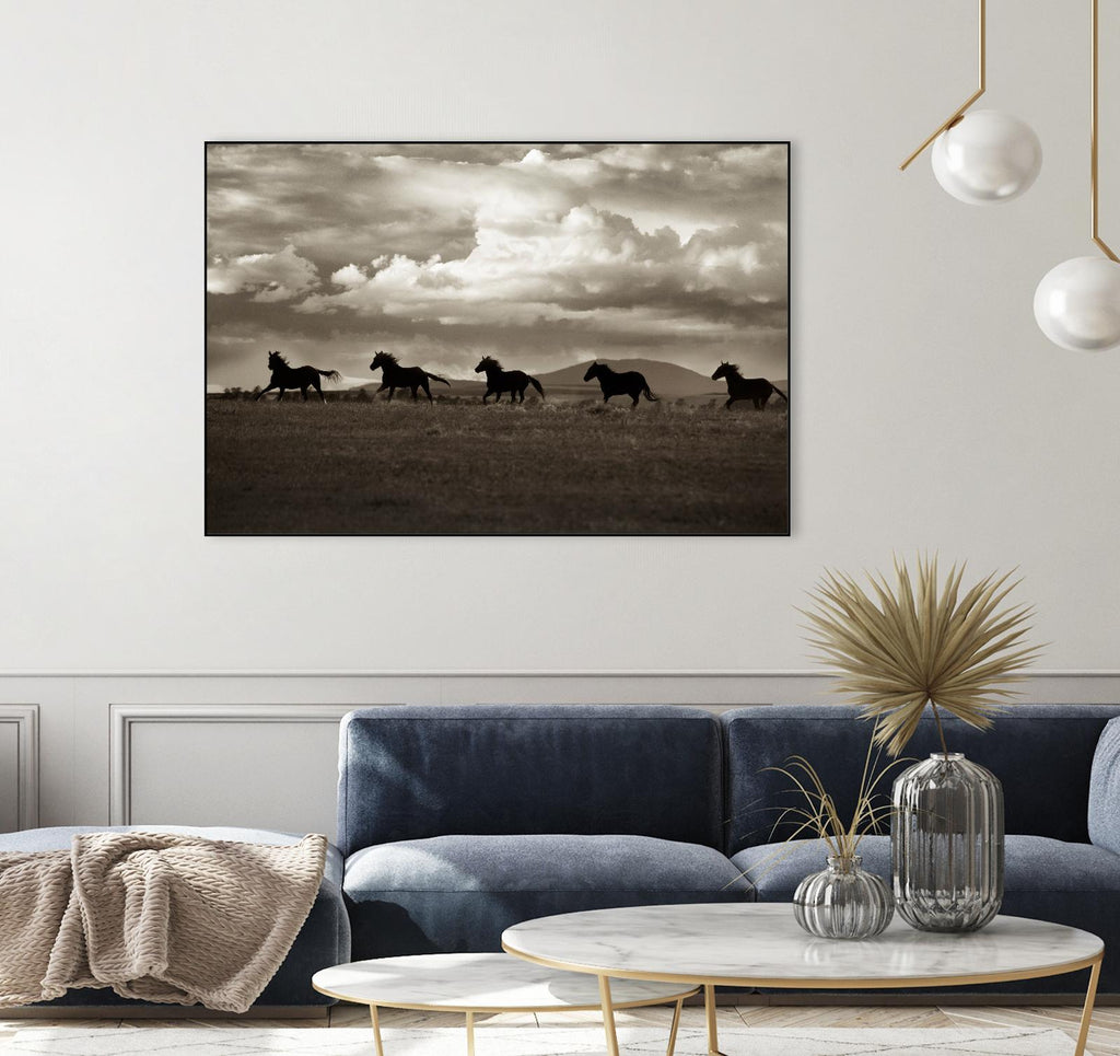 Racing the Clouds by Lisa Dearing on GIANT ART - multicolor photography; animals