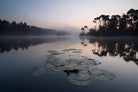 Oisterwijkse Vennen by Wilco Dragt on GIANT ART - multicolor photography; landscapes