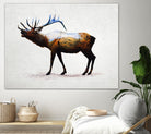 Rocky Mountain Elk by Davies Babies on GIANT ART - white animals