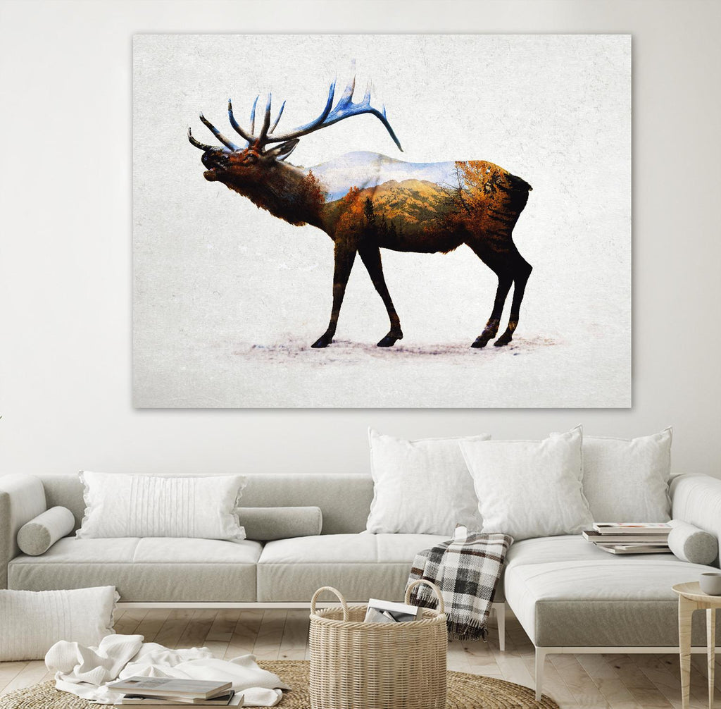 Rocky Mountain Elk par Davies Babies sur GIANT ART - animaux blancs