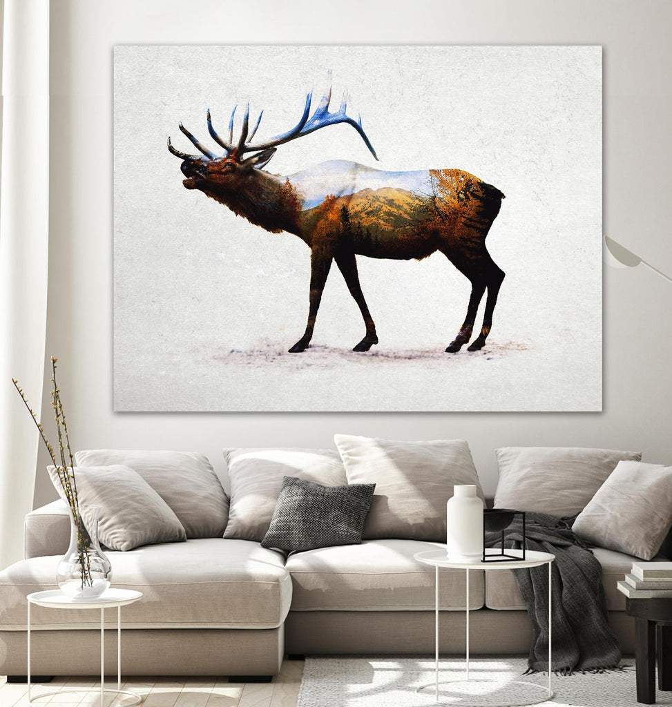 Rocky Mountain Elk by Davies Babies on GIANT ART - white animals