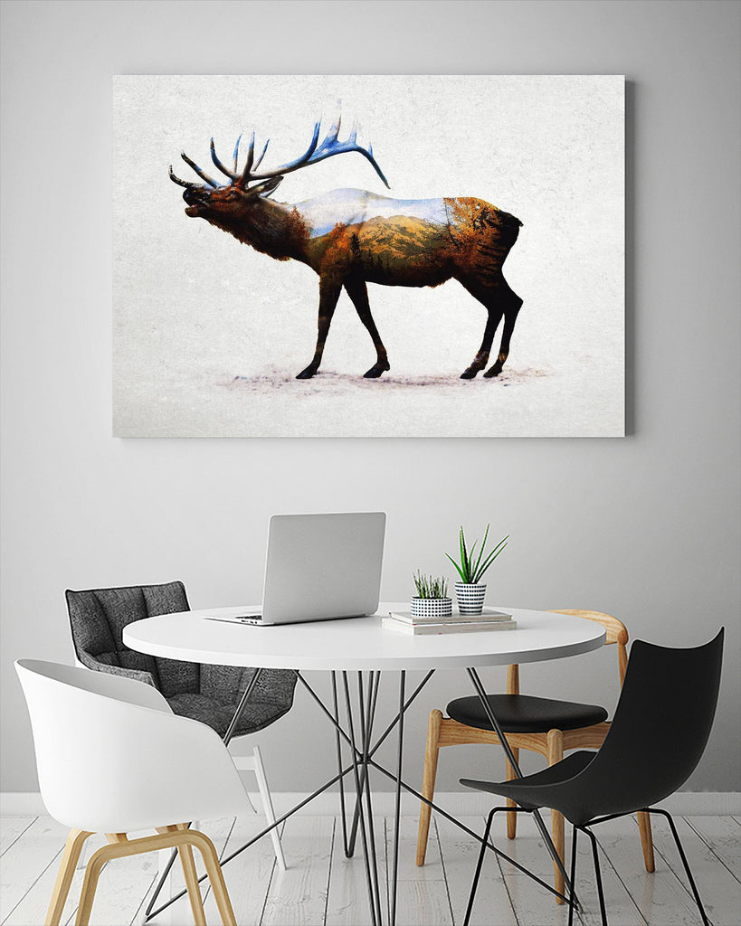 Rocky Mountain Elk par Davies Babies sur GIANT ART - animaux blancs