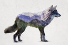 Rocky Mountain Grey Wolf by Davies Babies on GIANT ART - white animals