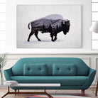 The American Bison by Davies Babies on GIANT ART - white animals