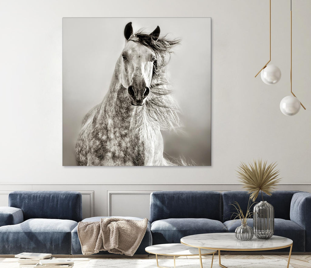 Caballo de Andaluz by Lisa Dearing on GIANT ART - grey animals