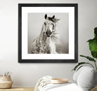 Caballo de Andaluz by Lisa Dearing on GIANT ART - grey animals