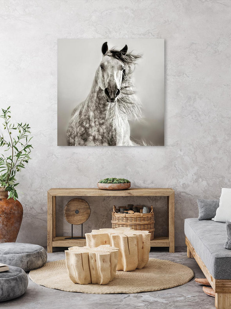 Caballo de Andaluz par Lisa Dearing sur GIANT ART - animaux gris