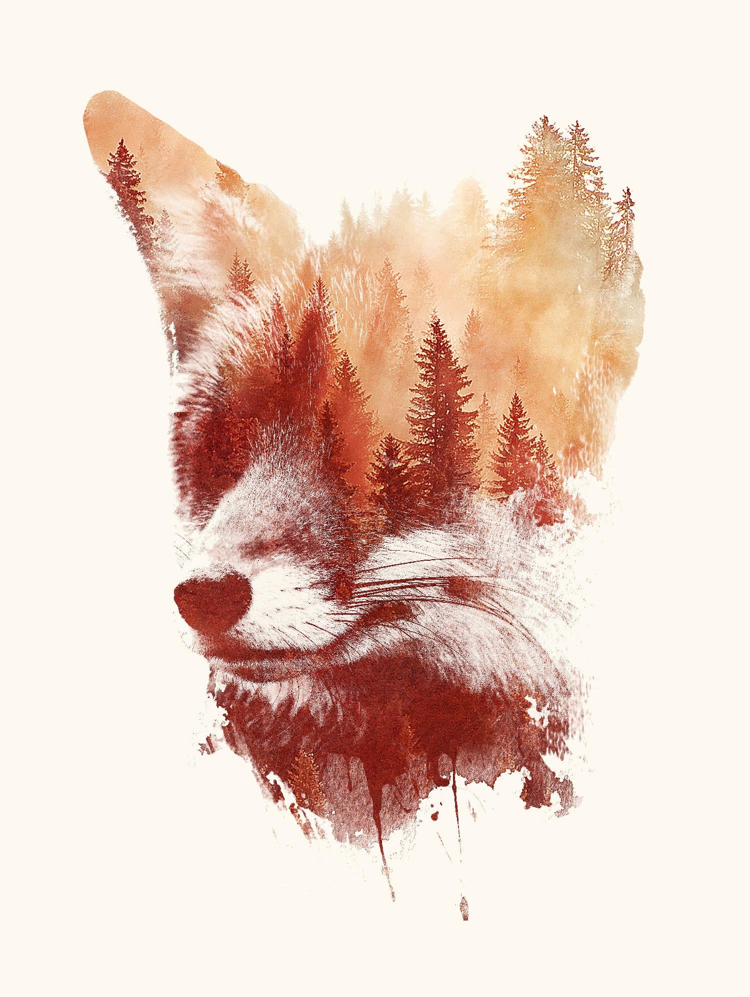 Blind Fox de Robert Farkas sur GIANT ART - animaux orange