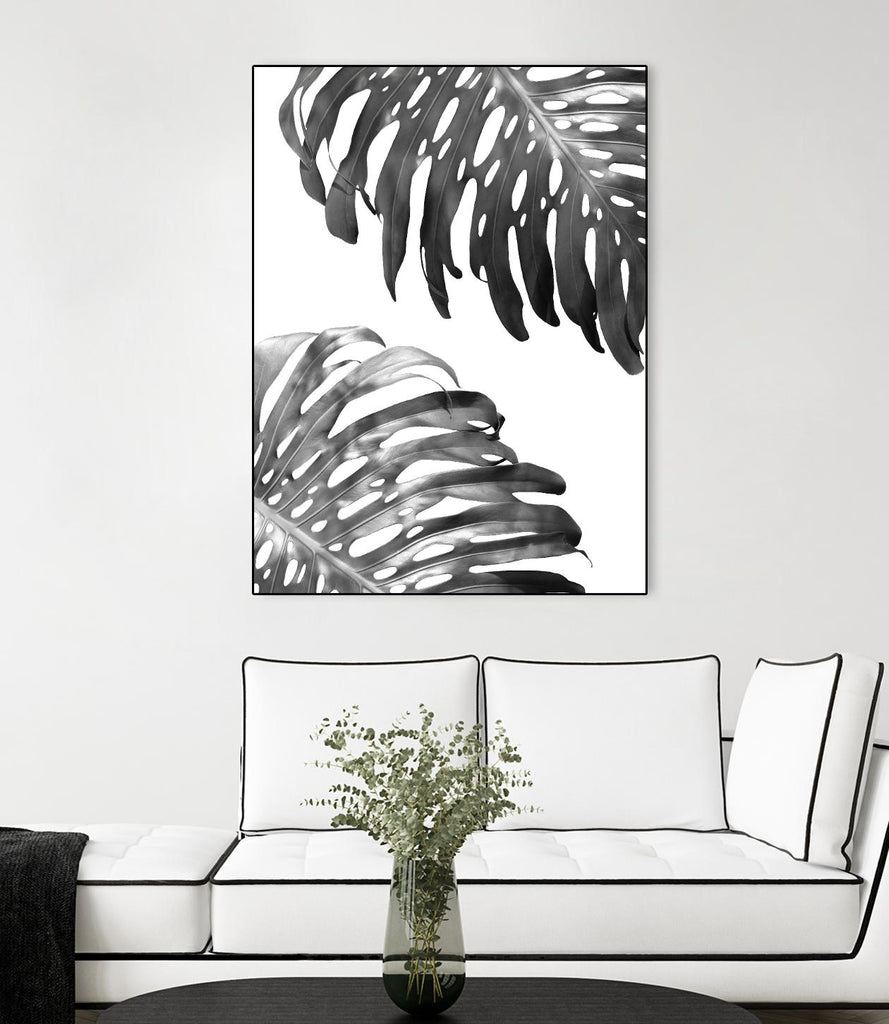 Double Philodendron (BW) by Lexie Greer on GIANT ART - multicolor photography; floral/still life