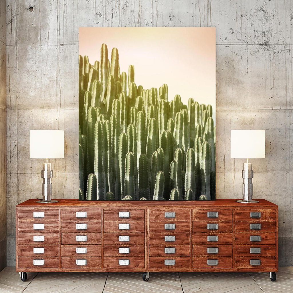 Pink Sky Cactus by Lexie Greer on GIANT ART - multicolor photography; floral/still life