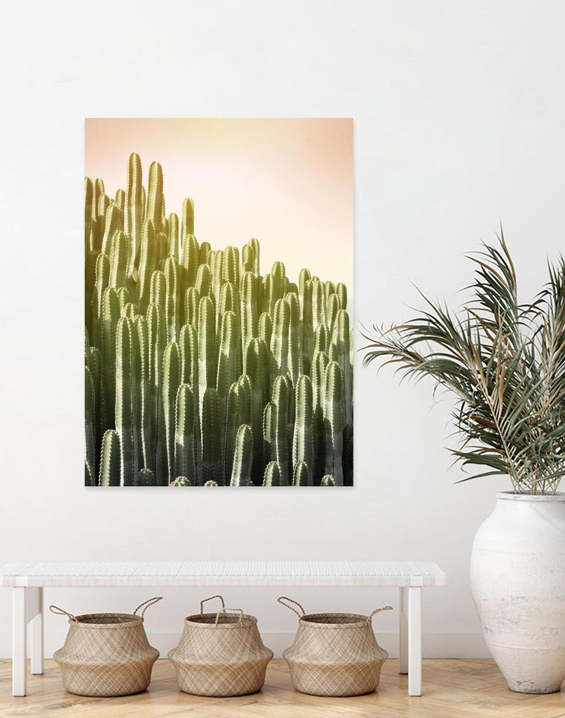 Pink Sky Cactus by Lexie Greer on GIANT ART - multicolor photography; floral/still life