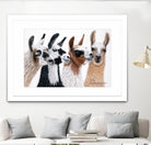 Peruvian Visitors by Jan Henderson on GIANT ART - multicolor animals; photography