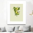 Apple tree I by Incado on GIANT ART - multicolor floral/still life