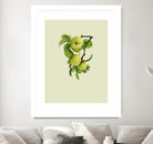 Apple tree I by Incado on GIANT ART - multicolor floral/still life