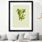 Apple tree I by Incado on GIANT ART - multicolor floral/still life