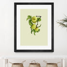 Apple tree I by Incado on GIANT ART - multicolor floral/still life