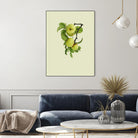 Apple tree I by Incado on GIANT ART - multicolor floral/still life