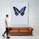 Blue Butterfly by Incado on GIANT ART - multicolor animals; floral/still life