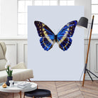 Blue Butterfly by Incado on GIANT ART - multicolor animals; floral/still life