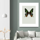 Chrysiridia rhipheus by Incado on GIANT ART - multicolor animals; floral/still life