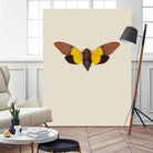 Cicada by Incado on GIANT ART - multicolor animals; floral/still life