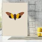 Cicada by Incado on GIANT ART - multicolor animals; floral/still life