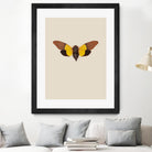 Cicada by Incado on GIANT ART - multicolor animals; floral/still life