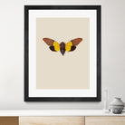 Cicada by Incado on GIANT ART - multicolor animals; floral/still life