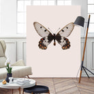 Cressida cressida by Incado on GIANT ART - multicolor animals; floral/still life