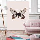 Cressida cressida by Incado on GIANT ART - multicolor animals; floral/still life