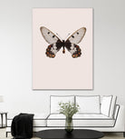 Cressida cressida by Incado on GIANT ART - multicolor animals; floral/still life