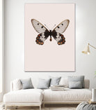 Cressida cressida by Incado on GIANT ART - multicolor animals; floral/still life