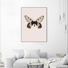 Cressida cressida by Incado on GIANT ART - multicolor animals; floral/still life