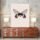 Cressida cressida by Incado on GIANT ART - multicolor animals; floral/still life