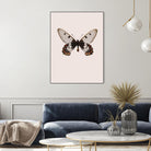 Cressida cressida by Incado on GIANT ART - multicolor animals; floral/still life