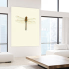 Dragonfly I by Incado on GIANT ART - multicolor animals; floral/still life